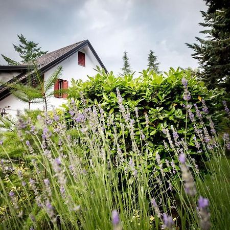 Le Conifere Apartman Pignola Kültér fotó